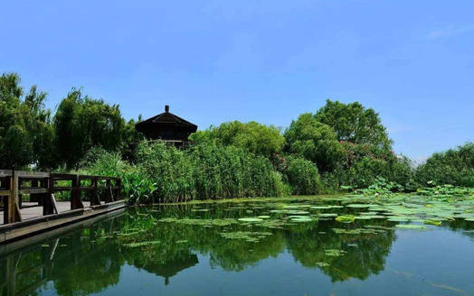 園林改造植物造景
