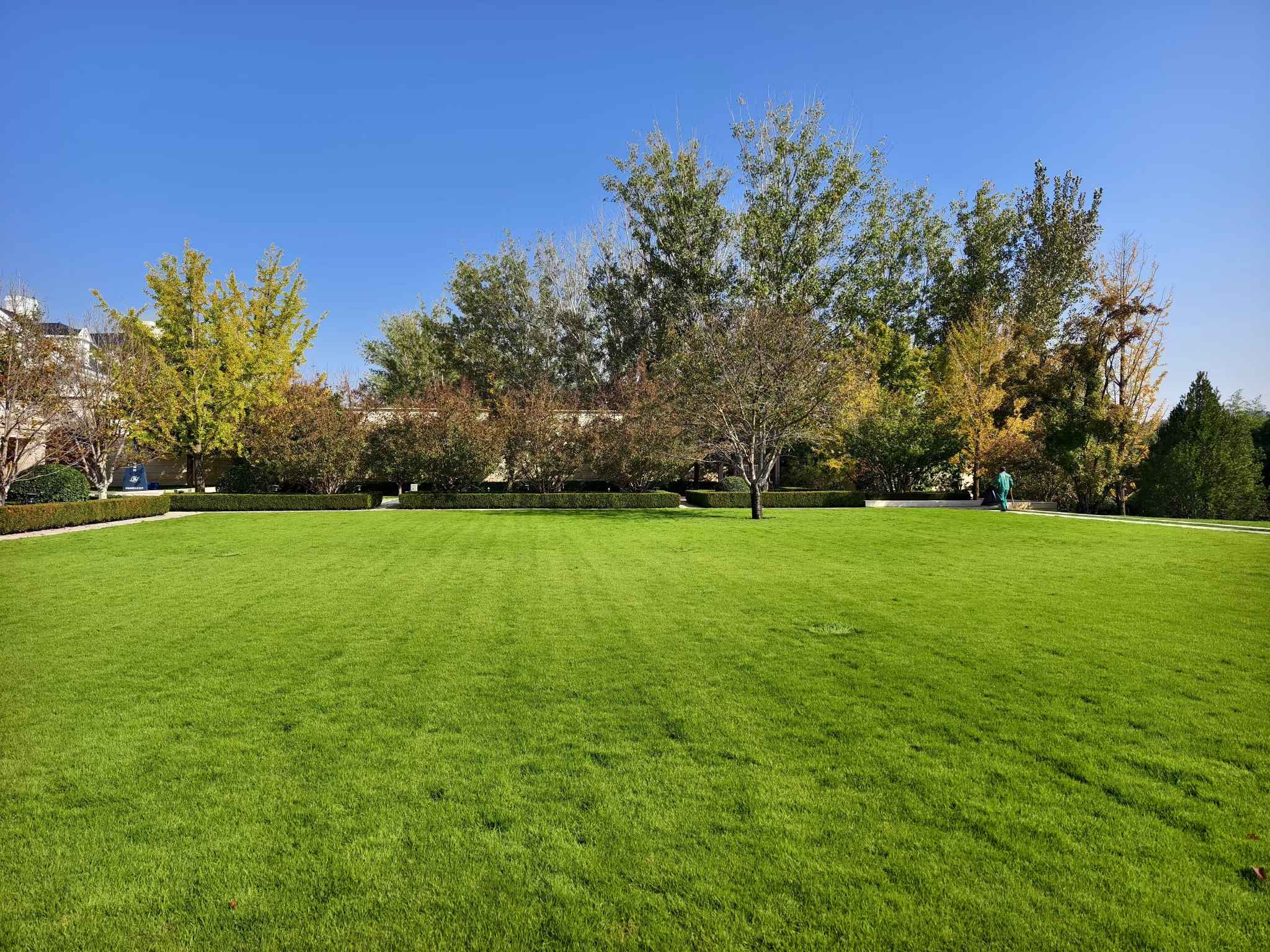 天宏園林入駐石榴滄州綠化項目，共筑城市美好未來